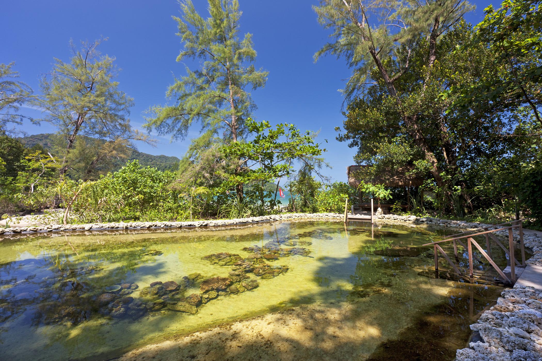 安达曼度假酒店-奢华精选 浮罗交怡 外观 照片 The river at the resort