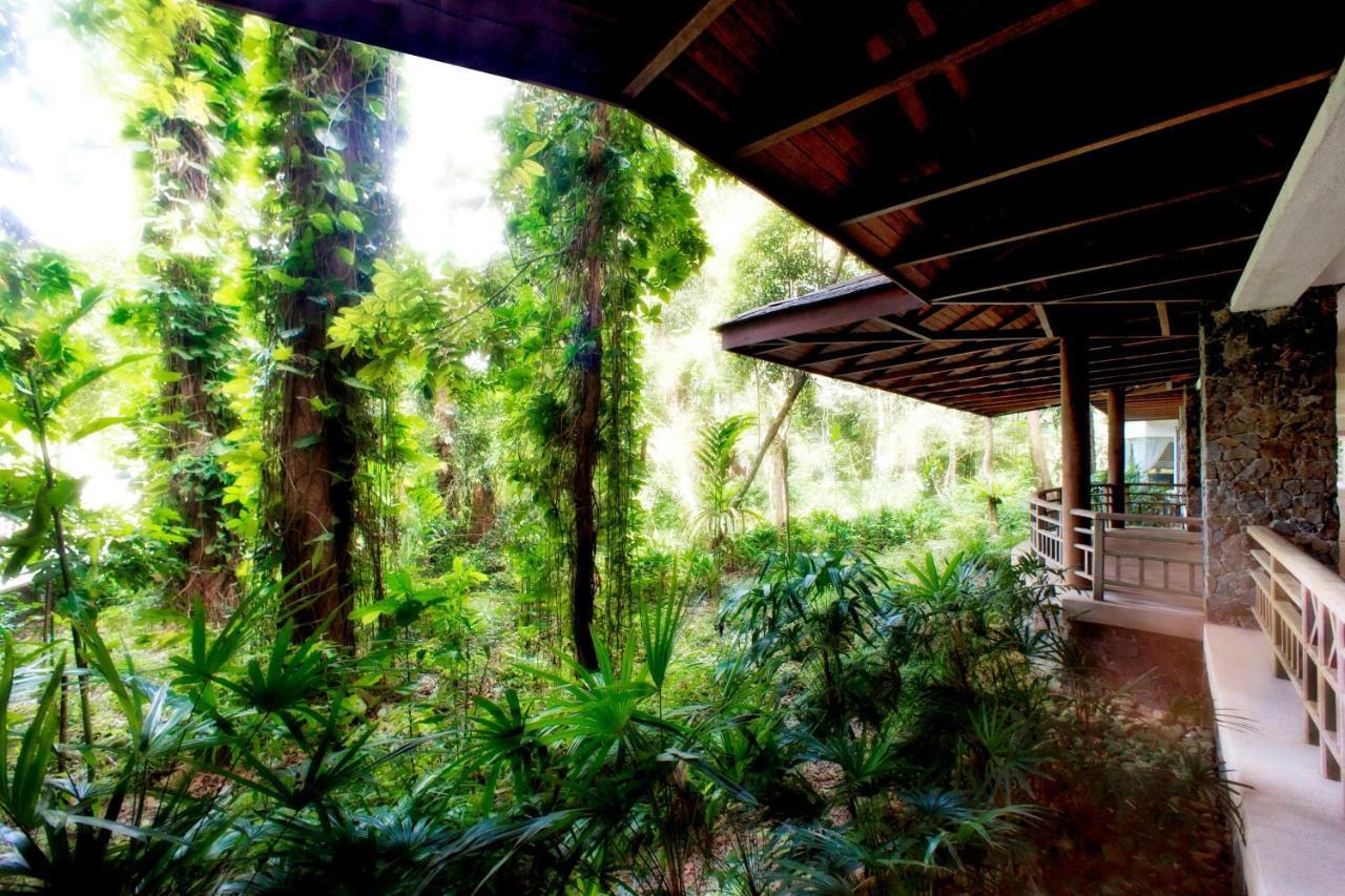 安达曼度假酒店-奢华精选 浮罗交怡 外观 照片 The canopy walk at the National Museum of Natural History